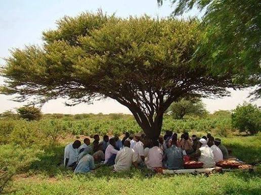 Fowdada Dhexdeeda, Fasal ka Guro — Fajaca Soomaalida — image 5